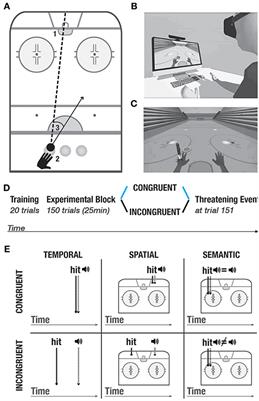 Self Beyond the Body: Action-Driven and Task-Relevant Purely Distal Cues Modulate Performance and Body Ownership